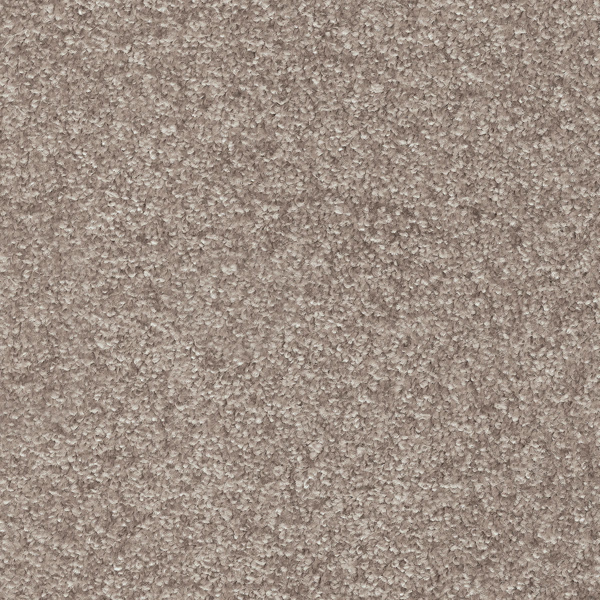 Dorado 49 macro shot